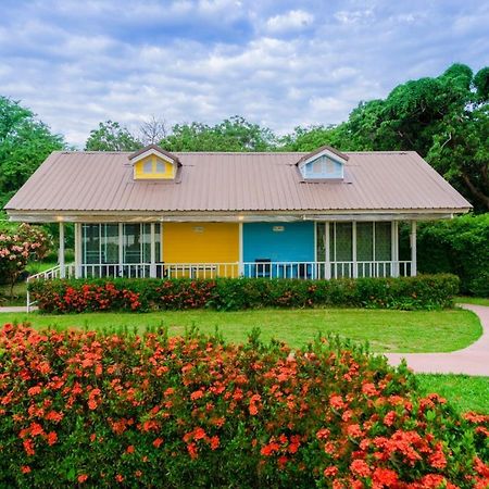 河上菩提树住宿加早餐旅馆 莫拉限 外观 照片