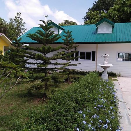河上菩提树住宿加早餐旅馆 莫拉限 外观 照片
