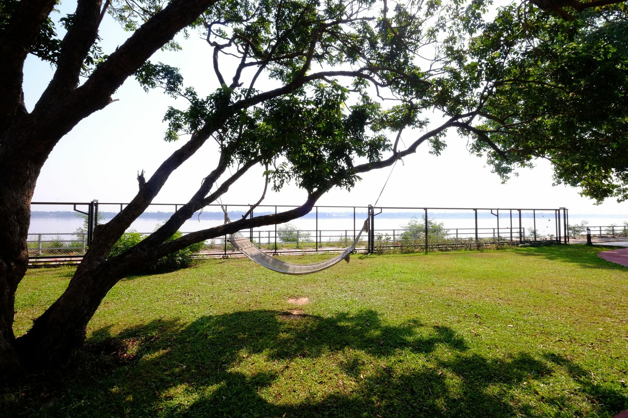 河上菩提树住宿加早餐旅馆 莫拉限 外观 照片